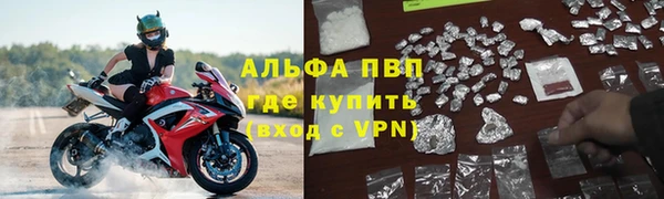 шишки Осинники