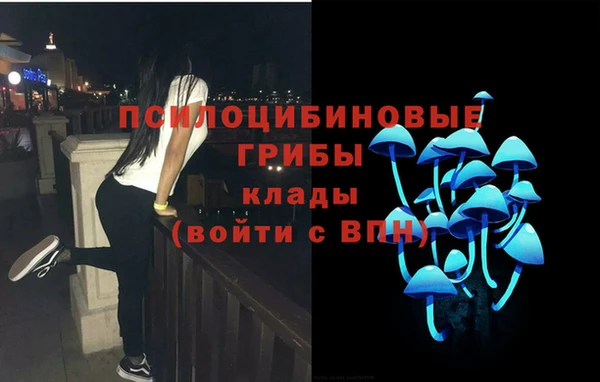 шишки Осинники