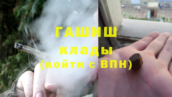 шишки Осинники
