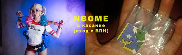 шишки Осинники
