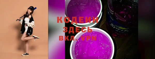 шишки Осинники