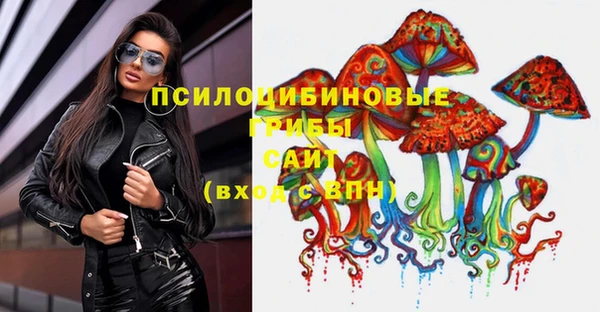 шишки Осинники