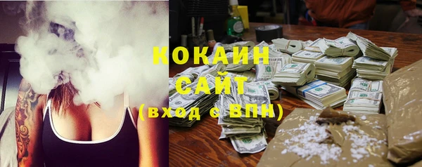 шишки Осинники