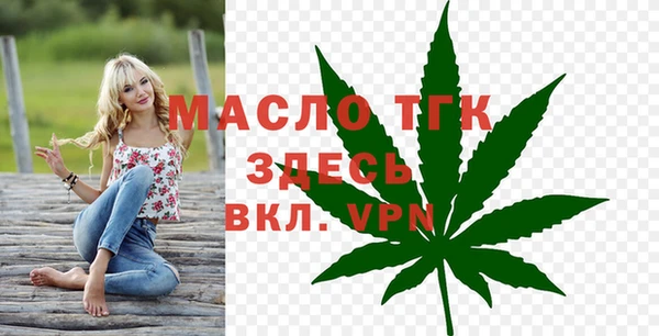 шишки Осинники